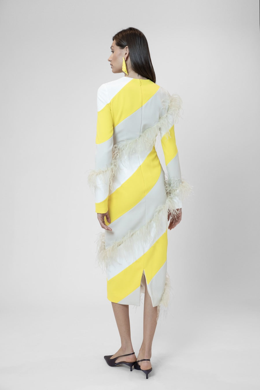 Long-sleeved two-toned dress with feather appliqués