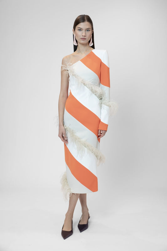 Midi dress with feathers and asymmetrical sleeves